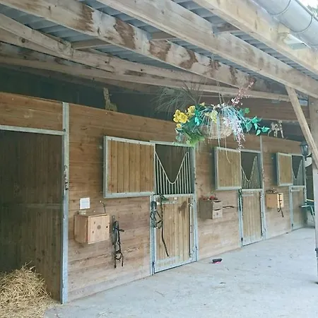 Chambres D'hotes Le Mousseau ショーモン